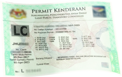 green permit