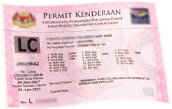 pink permit