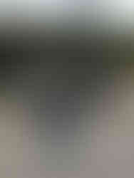 Affordable basic clothing