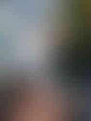 Affordable basic clothing