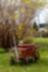 Ansicht Garten