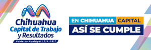 banner-300-x-100.gif