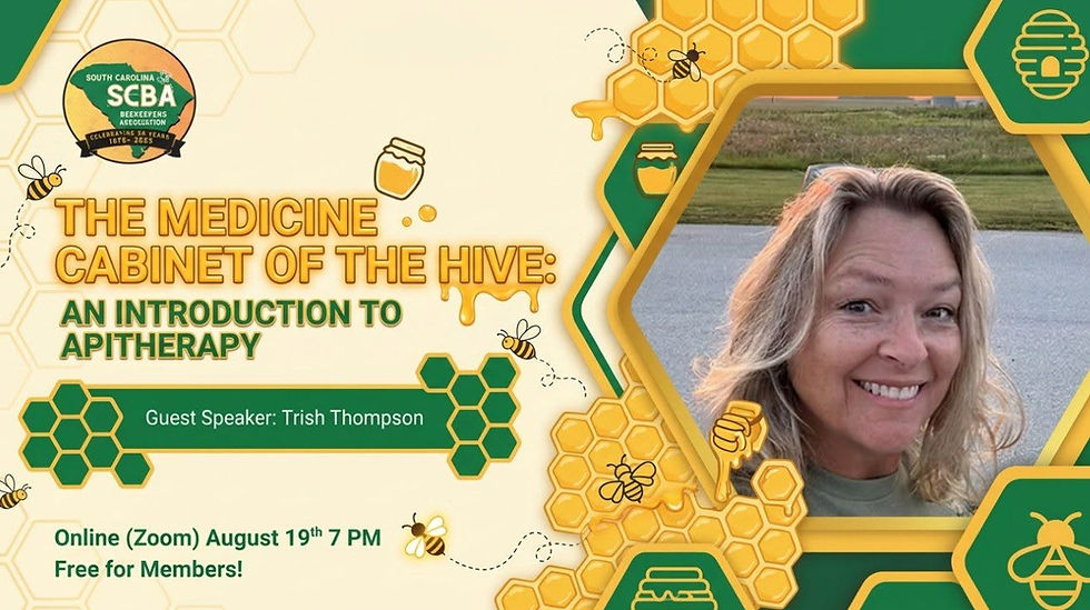 The Medicine Cabinet of the Hive: An introduction to Apitherapy with Trish Thompson