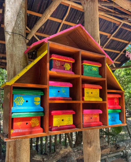 Tiny hives for tiny bees