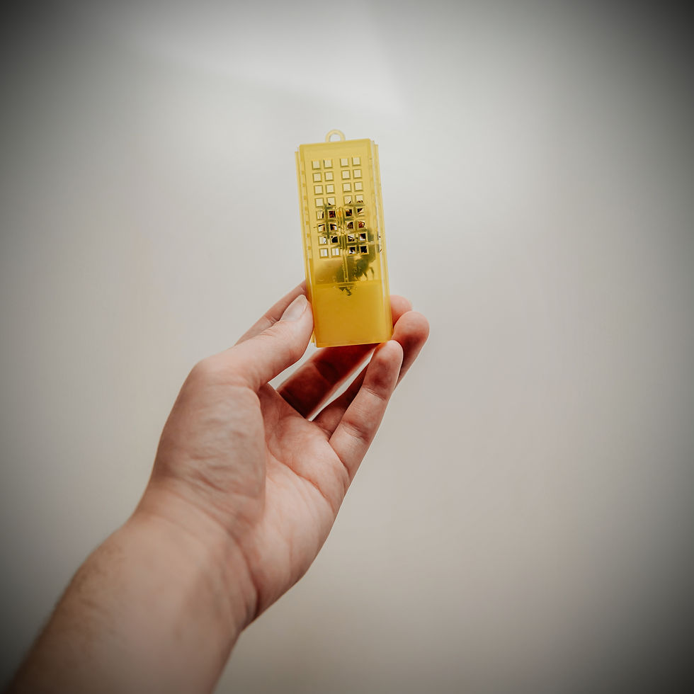 Mini-pod containing live therapy bees