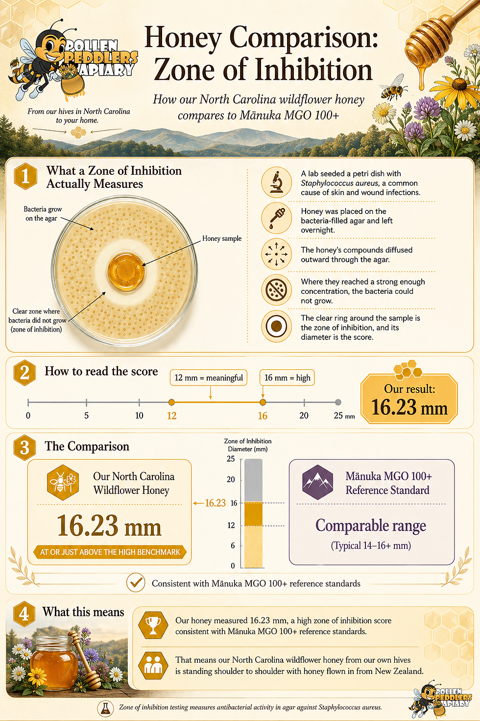 infographic showing how our honey compares with Manuka honey
