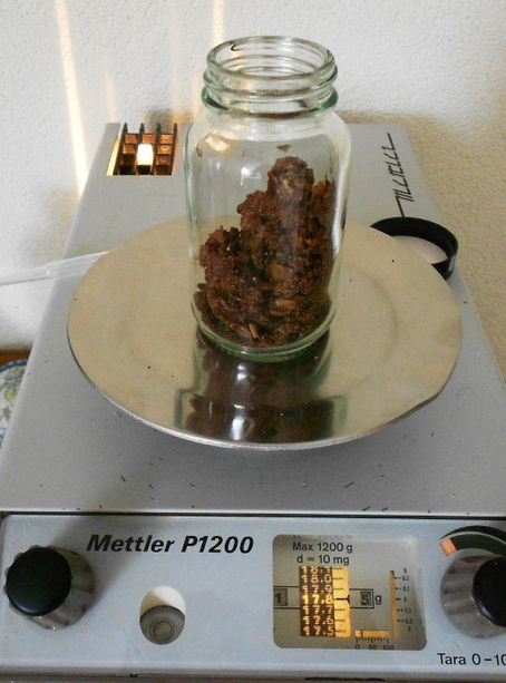 Digital scale weighing raw crude propolis in glass jar for tincture makin