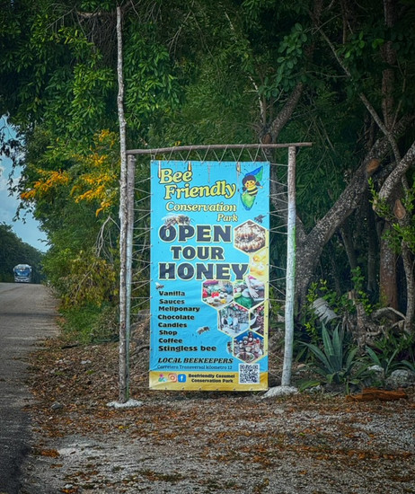 Visit the Bee Friendly Conservation Park