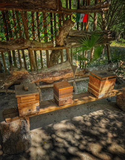 Bee hives for the Mayan Bees
