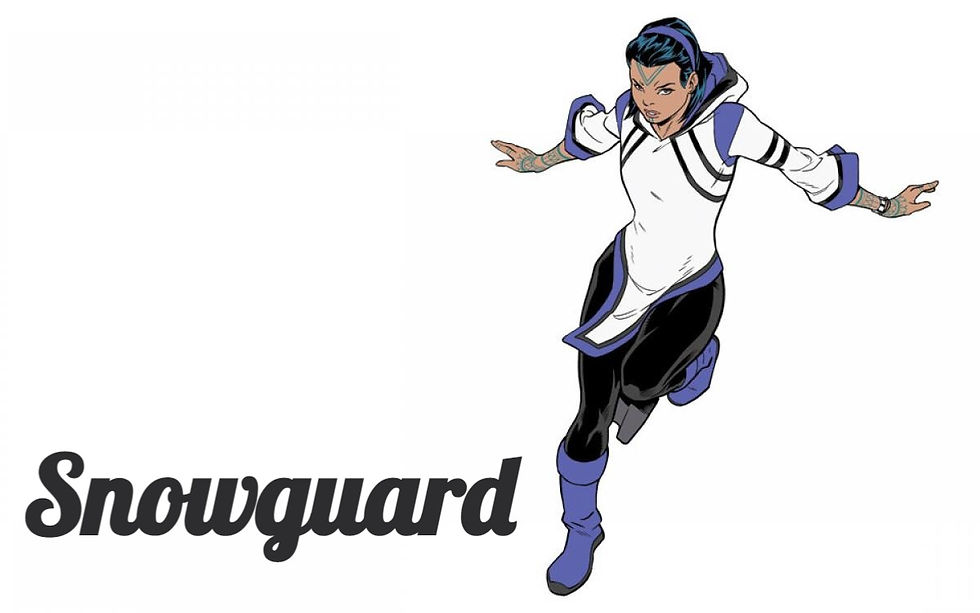 p14-snowguard_edited.jpg