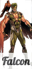 5131955-falcon_edited.jpg