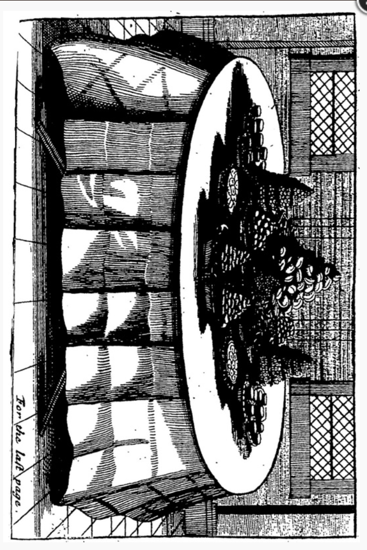 Thumbnail: The Court and Country Cook