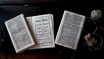 Bible Reproduction