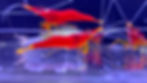 Thumbnail:  Sulawesi Yellow nose Cardinal Shrimp