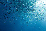 acqua
