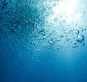 Wasser
