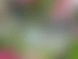 Now's the perfect time to start planning your 2026/2027 Wedding