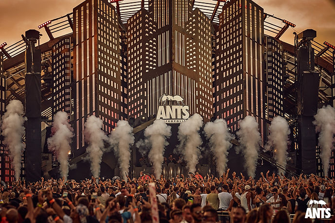Ants 1.jpg