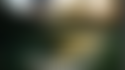 Obacht! Schonzeiten ab 2023 ...