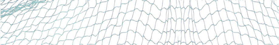 FisherNet890x160.png