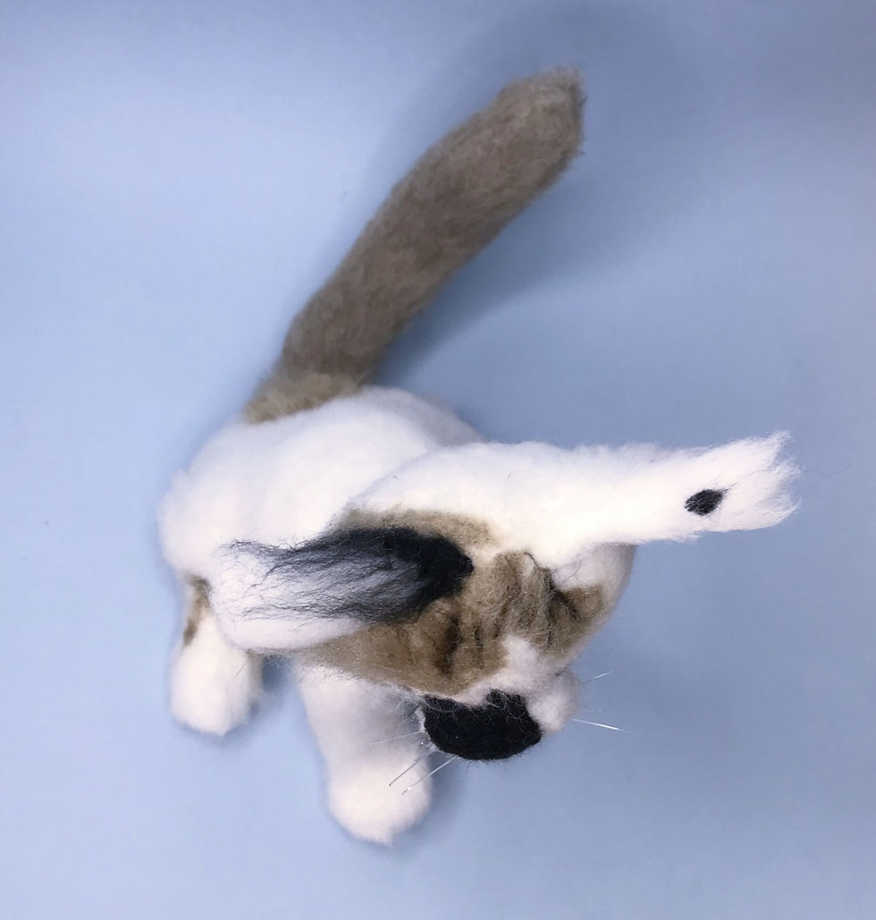 Miniatura: Gato sentado