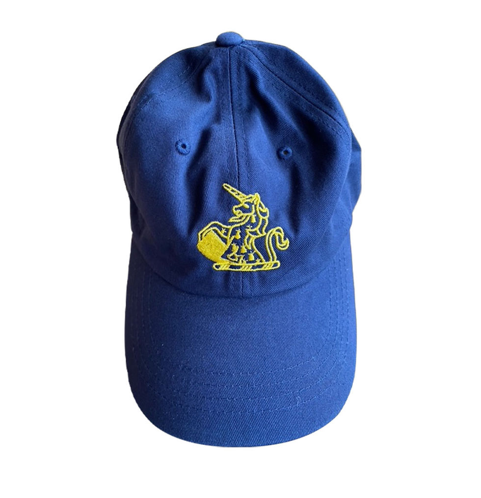 Thumbnail: House Coloured Baseball Caps
