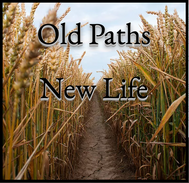 Screen Shot 2019-06-06 at 3.46.59 PM.png