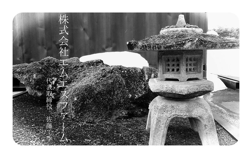 エムエスフォーム_佐藤工季