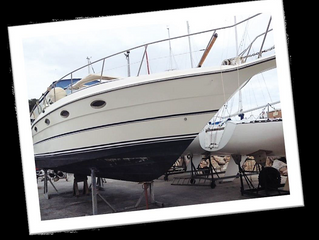 CRUISERS 3675