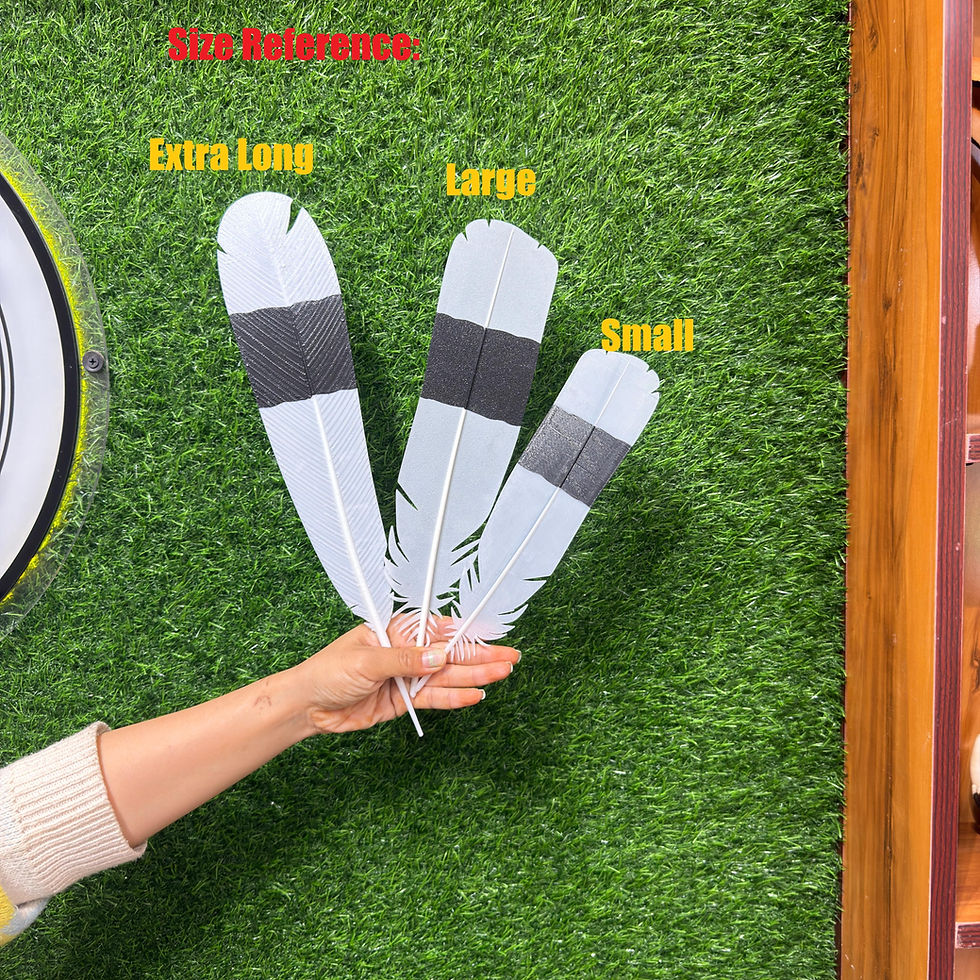Thumbnail: Hornbill Tail Feather Large- 10 pieces