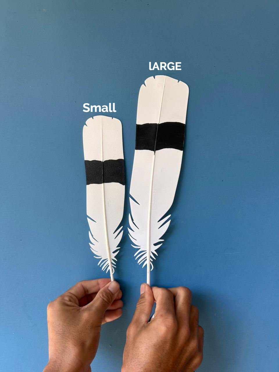 Thumbnail: Hornbill Tail Feather Small- 20Pcs