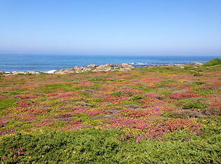 IMG_5994.jpg