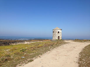 IMG_5982.jpg