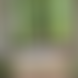 Sound Bath Sundays with Chelsea