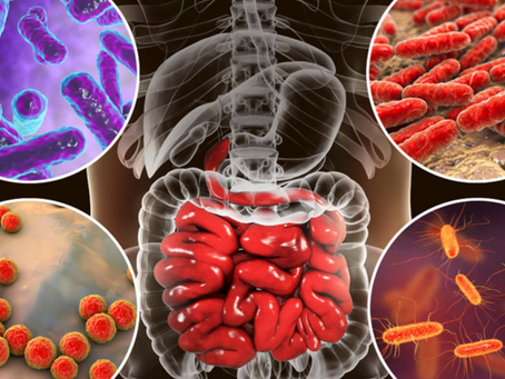 Estudio: Uso de antibióticos o criarse en un Ambiente Esteril - Incrementa Problemas INMUNITARIOS