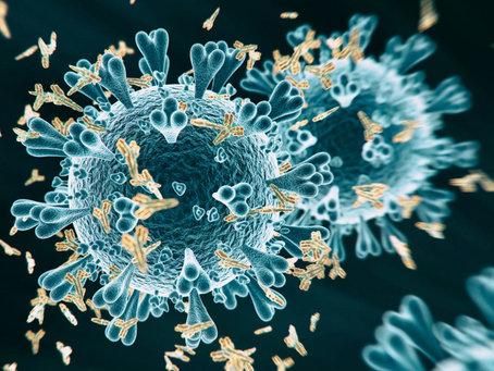 ¿NUEVA MUTACION del VIRUS es Realmente mas Peligrosa?