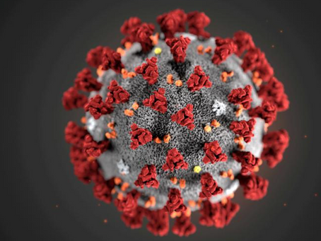 Las células T inducidas por la infección por COVID-19 responden a las nuevas variantes del virus