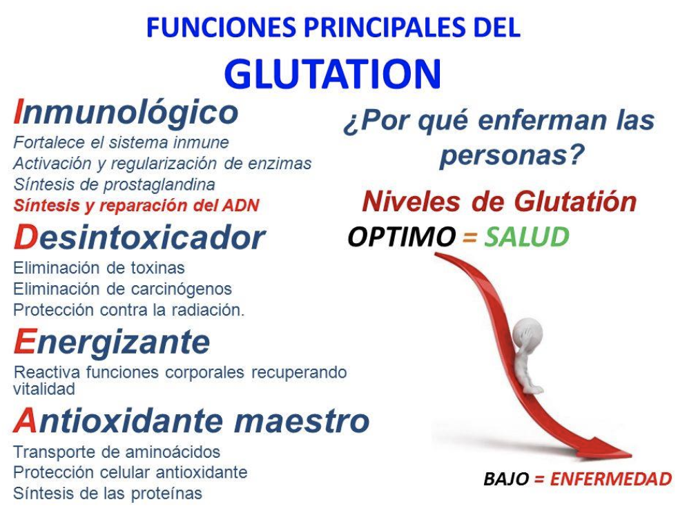 cancer en el cerebro tiene cura cancer en el cerebro tiene cura