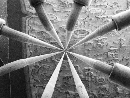 Entrega de nanopartÃculas superparamagnéticas de vacuna de ADN