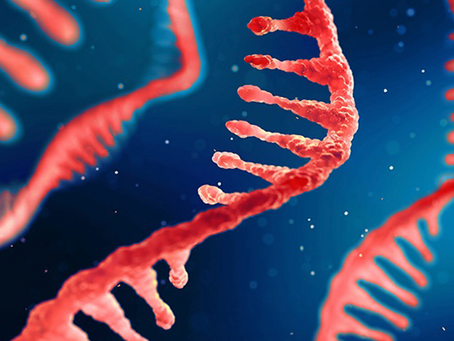 The Pfizer-BioNTech COVID19 Vaccine Ingredients - Nanoparticles