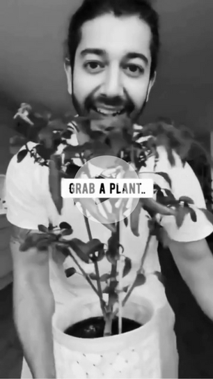 Self-Watering System