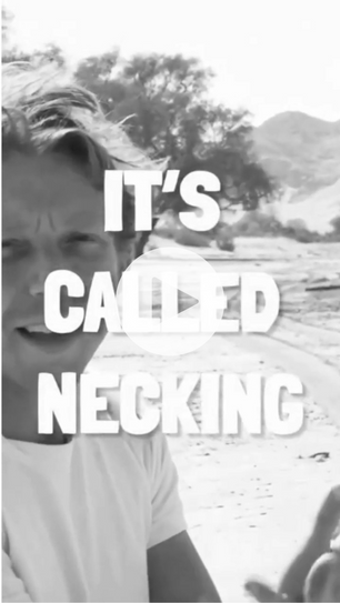 Giraffes Are Necking