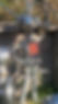 Bekijk recente foto's.png