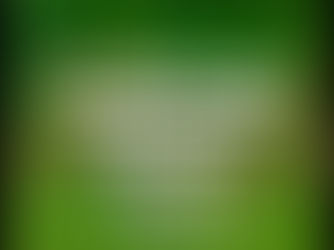 EL FÚTBOL COMO MANIFESTACIÓN ESTÉTICA Y POLÍTICA