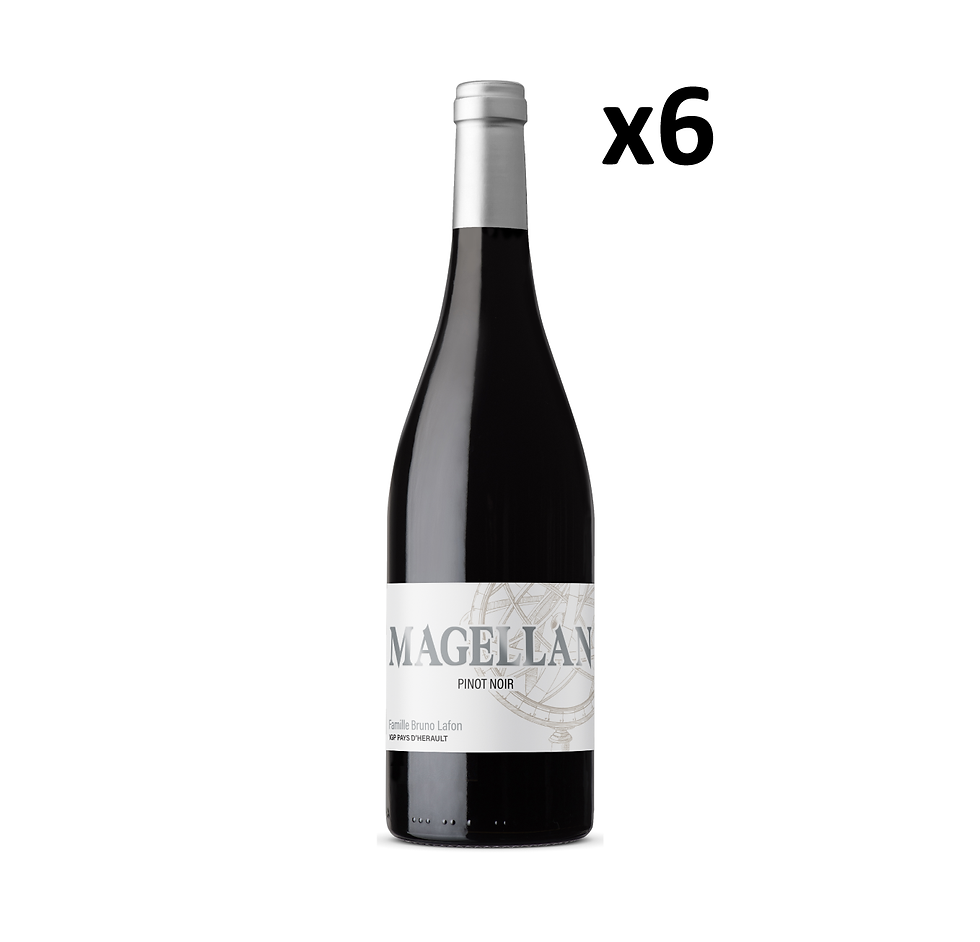 Magellan Pinot noir 2022 - MAGELLAN