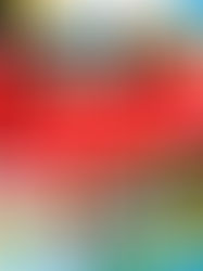 rimandato per pioggia Venerdi' 2 Giugno 2023, "Folletto e Gnomo" spettacolo in natura a Le Rose (FI)