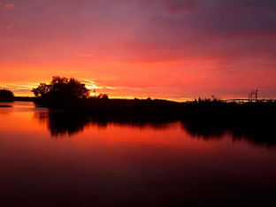 Grazie! 10 e 11 Agosto 2023, Il Parco delle Stelle, Oasi LIPU Massaciuccoli