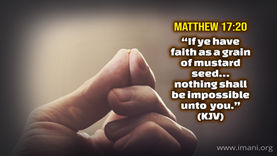The Seed Of Faith