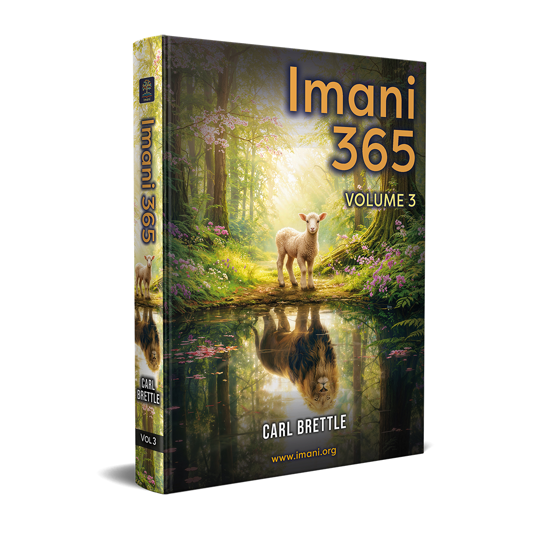 Imani 365 Volume 3