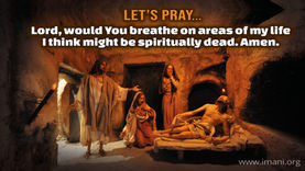 Lazarus Come Forth